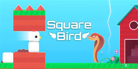 Square Bird Game .
